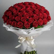 Букет 101 Красная роза Блэк Мэджик в Новоникольское