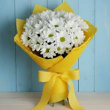 Букет цветов из:  Хризантемы в Новоникольское