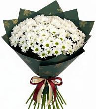 Букет цветов из:  Хризантемы в Новоникольское