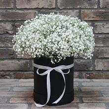 Цветочная композиция из Гипсофила в шляпной коробке в Новоникольское