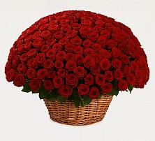 Премиум букет из: Розы в Новоникольское